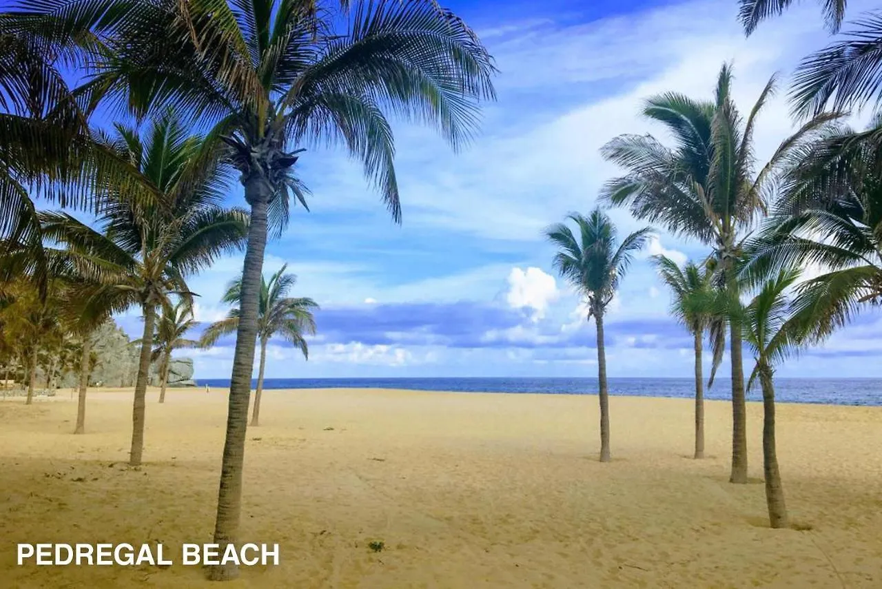 Full Service Stunning Oceanfront At Villa Penasco Cabo San Lucas